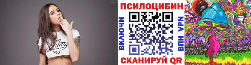 Псилоцибиновые грибы Psilocybe Кола