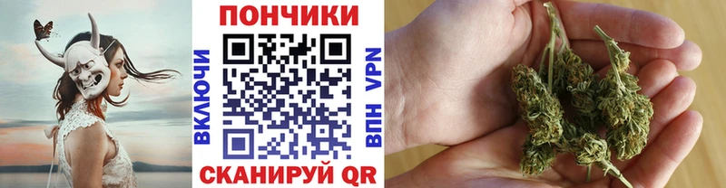 Бошки Шишки сатива  что такое наркотик  Кола 